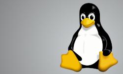 Featured image of post Linux